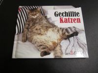 Gechillte Katzen v. arsEdition Buch zum schmunzeln, NEU Schleswig-Holstein - Trittau Vorschau