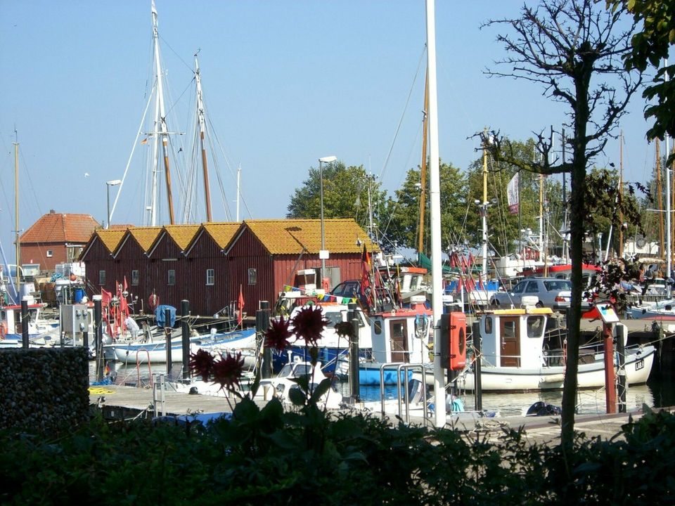 Ferienwohnung Laboe, Ostsee, Kieler Förde,strandnah, Urlaub pur in Laboe