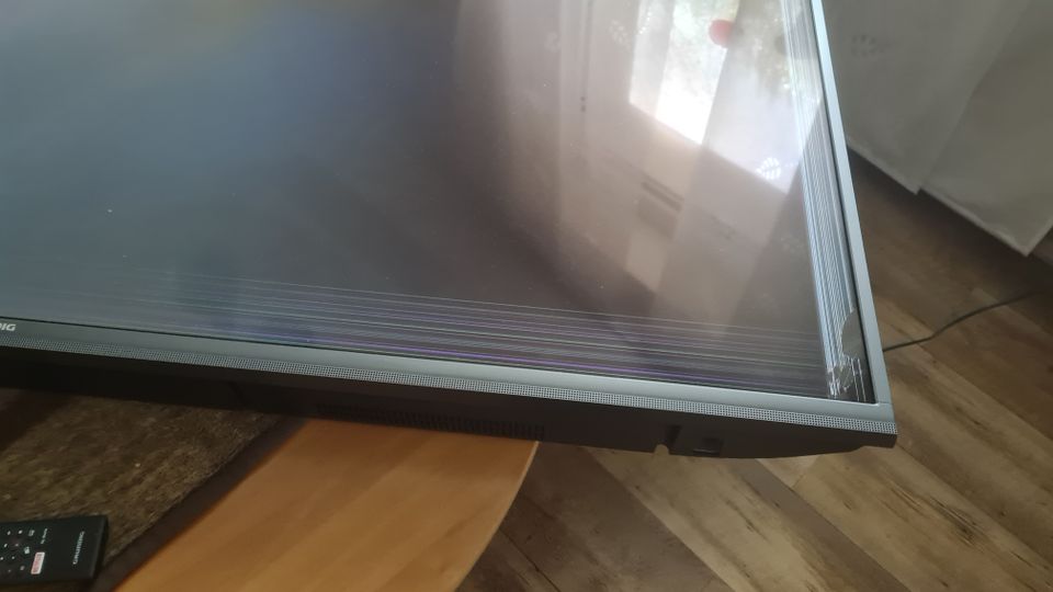 Grundig TV 65 Zoll, Displayschaden in Lünen