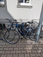 Zwei Pegasus 28 Zoll Fahrräder Damen und Herren Bayern - Heroldsberg Vorschau