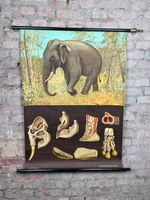 Vintage Schulwandkarte Indischer Elefant Lehrtafel Wandtafel Elberfeld - Elberfeld-West Vorschau