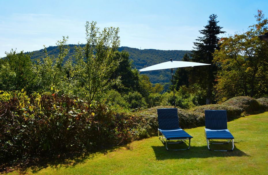 Ferienhaus Eifel Stausee Bitburg / Biersdorf am See  Hund erlaubt in Biersdorf