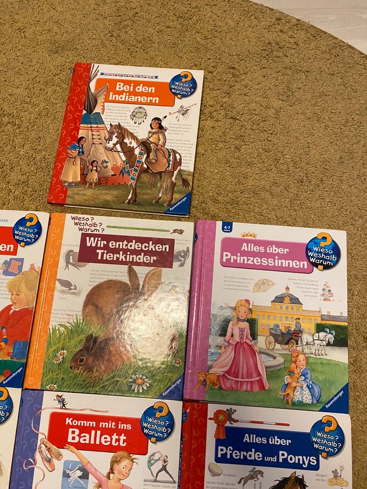 Wiesoweshalbwarum Bücher 4-7 Jahre Baustelle Ballett Tierkinder in Salzgitter