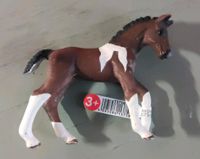 Schleich Achal Trakehner Fohlen (13758) Herzogtum Lauenburg - Ratzeburg Vorschau