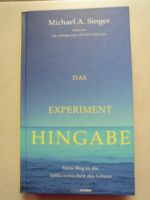 Michael A. Singer - Das Experiment Hingabe (2016) Yoga Meditation Bayern - Bad Kissingen Vorschau