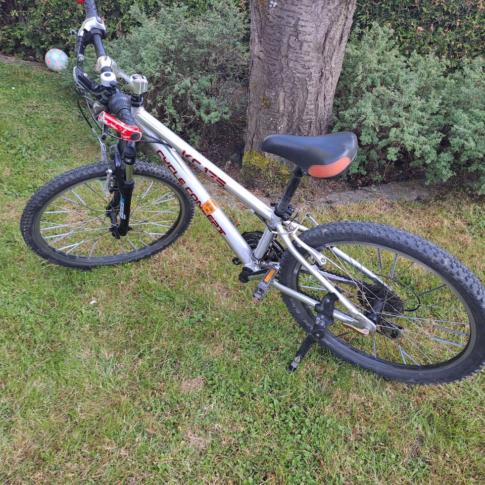 Kinder-Mountainbike in Silber, 24 Zoll und 21 Gänge in Naumburg 