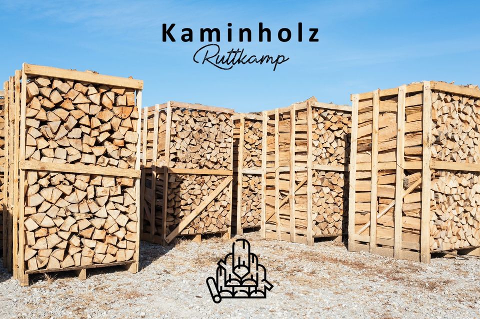 Kaminholz/Brennholz Buche vorgetrocknet (30-33cm Scheitlänge) in Ennepetal