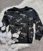 Pullover, H&M, Gr. 110/116, Dino Skelette, Pulli, Schwarz/Weiß Niedersachsen - Schnega Vorschau