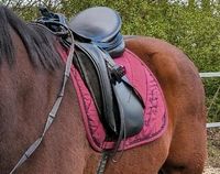 Suche Sattel Prestige top dressage kk 17 / 34 Baden-Württemberg - Donaueschingen Vorschau