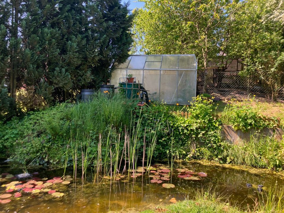 Einfamilienhaus mit 2. Wohneinheit auf traumhaftem Grundstück in Kirchbarkau