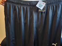 Puma Short Herren Berlin - Reinickendorf Vorschau