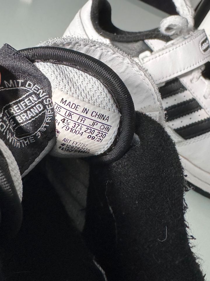 Adidas Schuhe 37 in Bergkamen