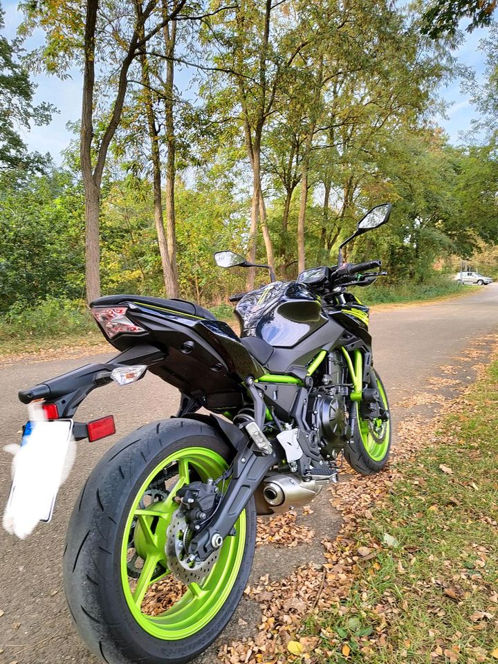 Kawasaki Z650 in Aalen