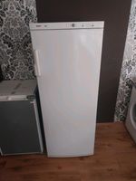 Gefrierschrank Bosch 6Mont.Garantie Nordrhein-Westfalen - Hamm Vorschau