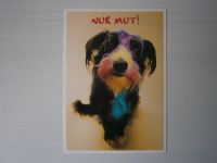 Postkarte - bunter Hund ! NAGELNEU ! Lustig ! Verrückt ! Gag ! Nordrhein-Westfalen - Welver Vorschau