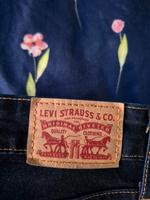 Levi's Jeans Hose 26 high rise skinny Hamburg-Mitte - Hamburg Altstadt Vorschau