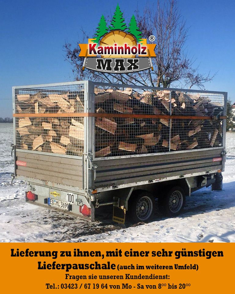 ab 4 m³ bis 35 m³ -  bis 40 Km um Halle Merseburg Petersberg Wettin Kaminholz, Brennholz, Feuerholz, Holzvergaser, Kamin, Holz, Feuer, Brenn in Halle