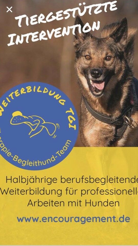 Hundeschule Therapie-Begleittier-Team in Augsburg