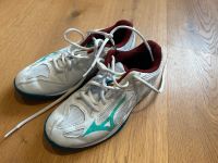 Mizuno Handballschuhe neuwertig Größe 35 Hessen - Bad Homburg Vorschau