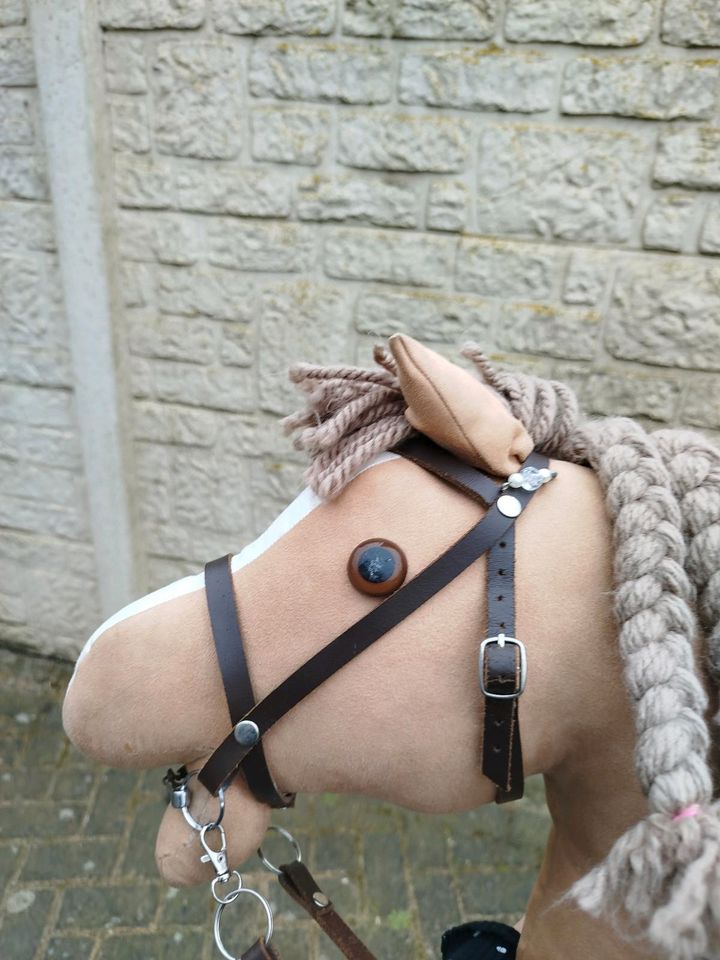 Hobby horse zu verkaufen in Gangelt