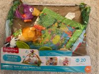 Fisher Price Rainforest Spielbogen Spielmatte Nordrhein-Westfalen - Schloß Holte-Stukenbrock Vorschau