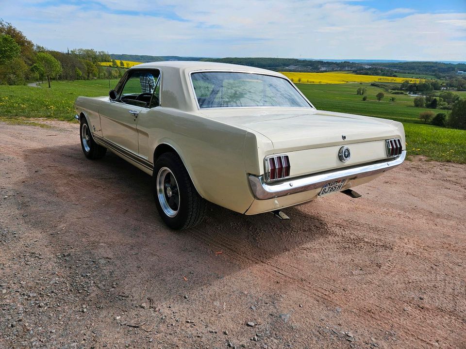 Ford Mustang V8 Schaltgetriebe H-Zulassung in Ellrich