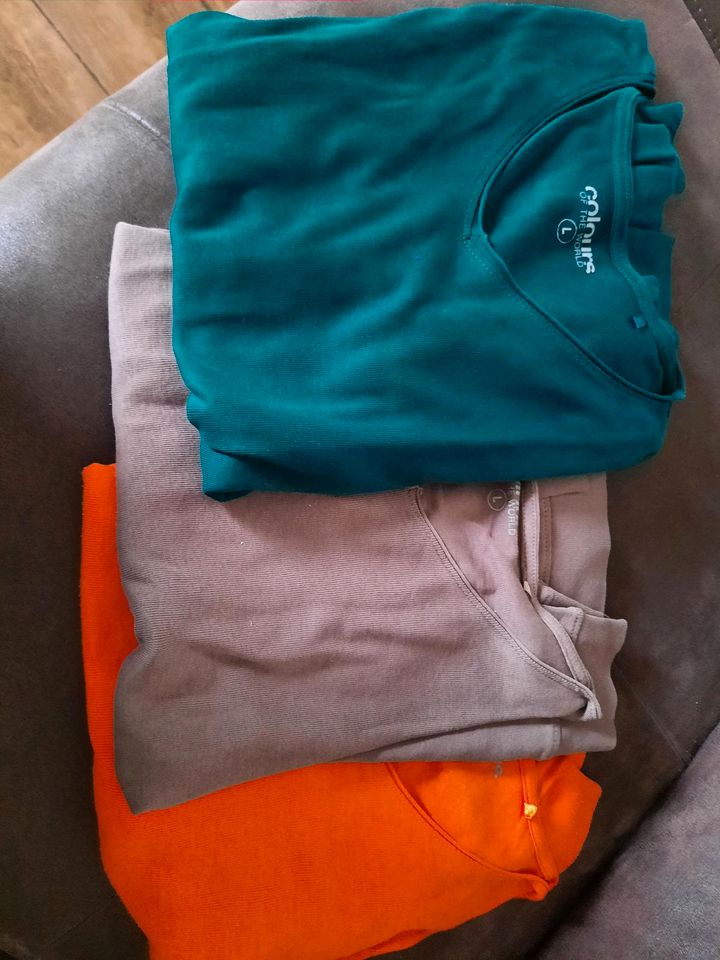 3x Pullover - L - orange - grün - braun in Hirschaid