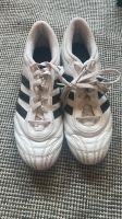 Adidas Stollen Fußballschuhe Gr. 36 Niedersachsen - Salzgitter Vorschau