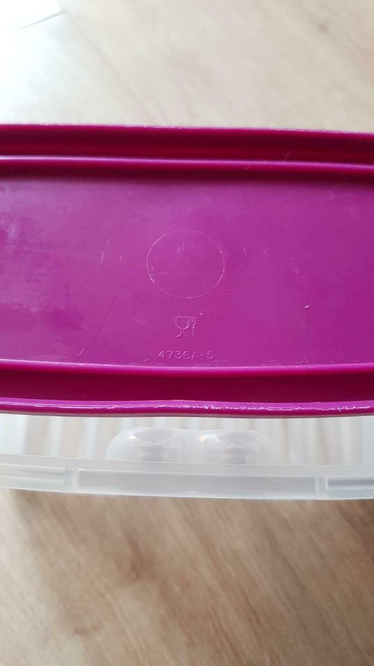 Tupperware prima Klima lila in Witzhave