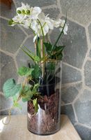 Deko: Vase mit Orchidee Rostock - Lichtenhagen Vorschau