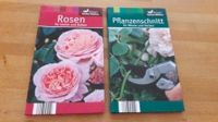 Buch Lingen Rosen / Pflanzenschnitt Nordrhein-Westfalen - Beckum Vorschau