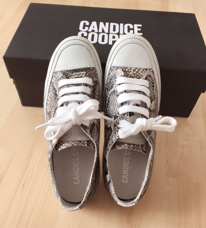 Mädchen Ledersneaker Candice Cooper Gr. 31 NEU in Buxtehude