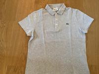 Lacoste Poloshirt Herren,  NEU Hessen - Heusenstamm Vorschau