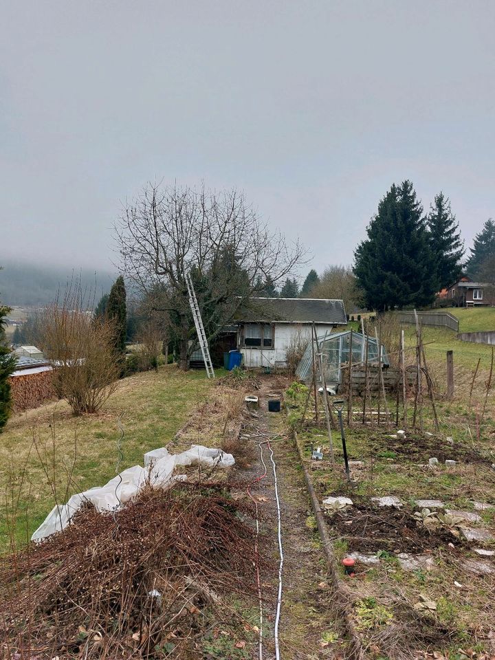 Baureifes Grundstück in ruhiger Lage in Ilmenau - OT Möhrenbach z in Gehren