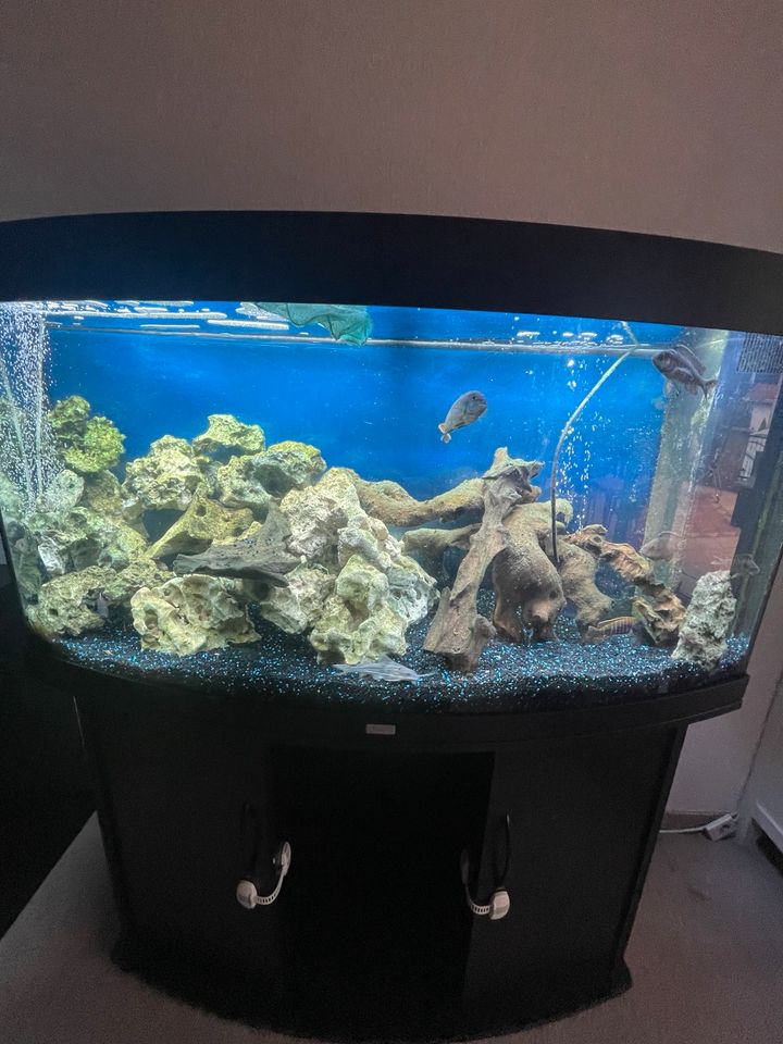 Juwel Aquarium Vision 260 / LED Röhren in Dresden