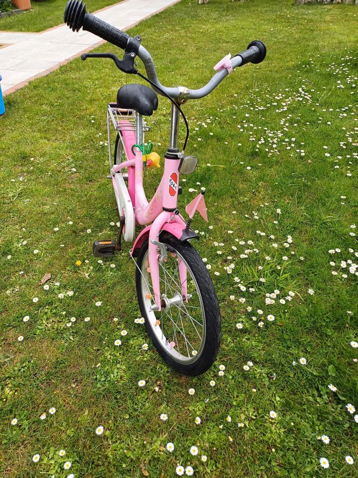 Puky - Fahrrad - Rosa in Kiel