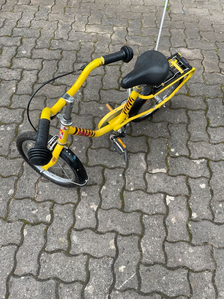 Puky 16 Zoll Kinderfahrrad in Mespelbrunn