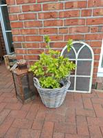 Spiegel, altes rundes Fenster Gusseisen 58,5 cm, Stallfenster Kreis Pinneberg - Pinneberg Vorschau