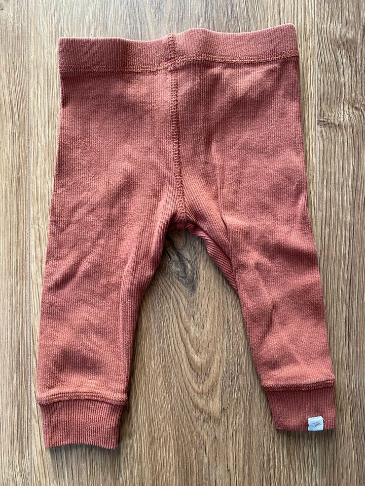 Leggings von Zara, Größe 74 in Oberschleißheim