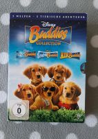 4 Buddies Kinderfilme DVD "Buddies Collection" "Treasure Buddies" Hessen - Kassel Vorschau