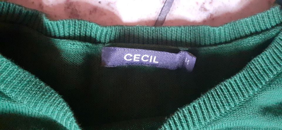 Toller waldgrüner basic Pullover CECIL 38/40 waldorf öko in Melle