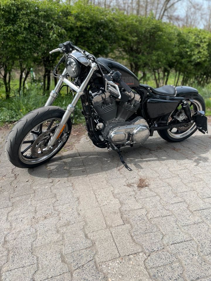 Harley Davidson Sportster 883 in Mörfelden-Walldorf