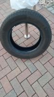 Sommerreifen Continental 185/65 R15H Sachsen-Anhalt - Trebbichau Vorschau