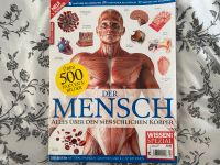 Der menschliche Körper Niedersachsen - Hameln Vorschau