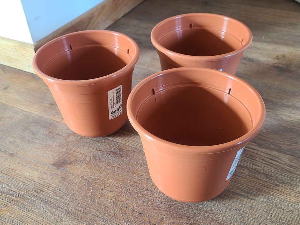 Geli standard übertopf 14 cm Terracotta Blumentöpfe braun in Vienenburg