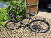 trekking Bike 28 Zoll Rheinland-Pfalz - Longuich Vorschau