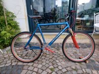 Cannondale M500 26 Zoll Vintage Mountainbike MTB Restauiert Rheinland-Pfalz - Schifferstadt Vorschau