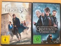 Phantastische Tierwesen,Grindelwalds Verbrechen DVD, Harry Potter Baden-Württemberg - Haiterbach Vorschau