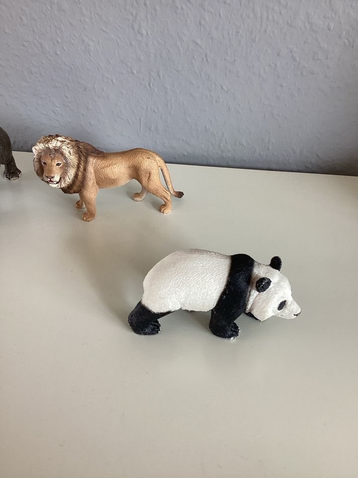 Schleich Tiere Löwe Nashorn Panda je 5€ in Lippstadt