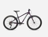 Orbea MX 24 Team Kinderfahrrad - UVP 549,00€ / -10% Kr. Altötting - Winhöring Vorschau